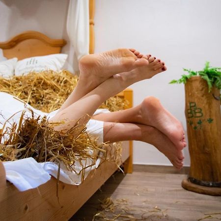 Landhotel Moorhof Franking Ngoại thất bức ảnh